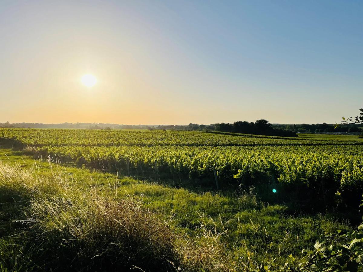 Teuillac La Vigne D'Or B&B 외부 사진